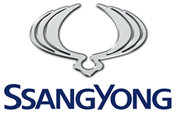 SSANG YONG